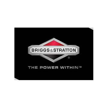 Reparatie, service motoare Briggs&Stratton