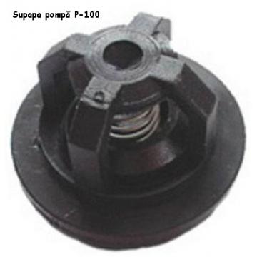 Supapa pentru pompa erbicidat P-100