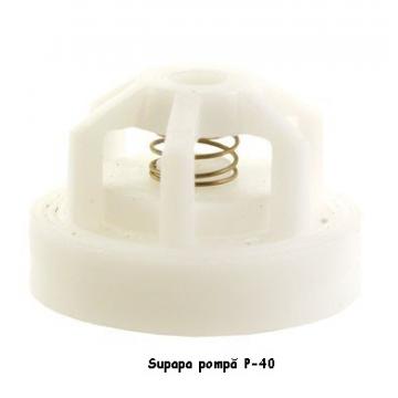 Supapa pompa masina de erbicidat P-40