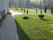 Amenajari si intretinere spatii verzi