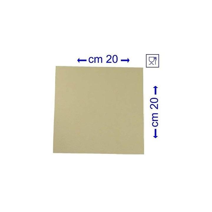 Placa filtranta 20x20 - Rover 24