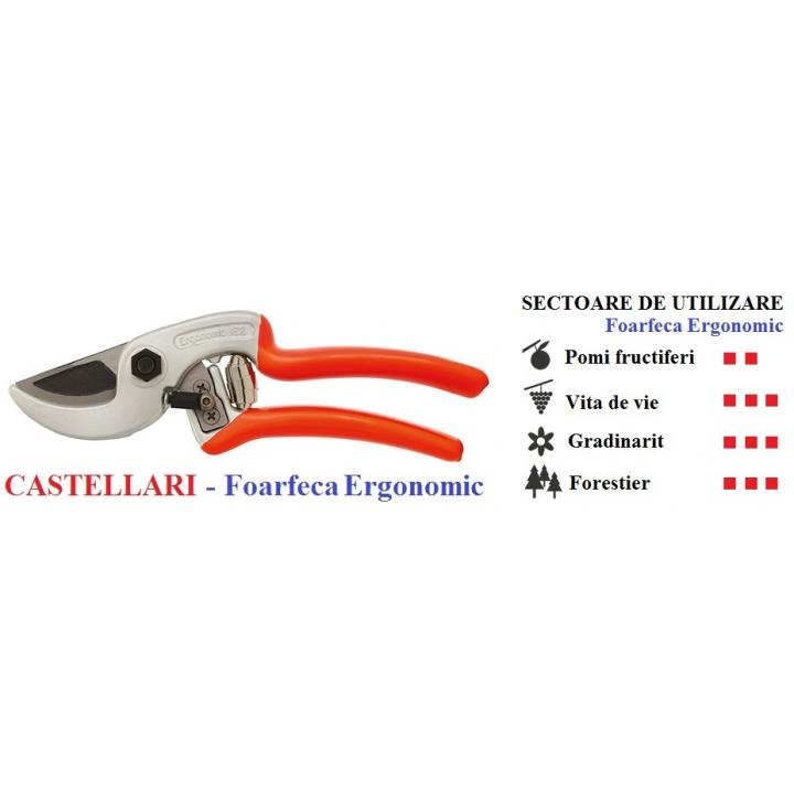 Foarfeca de mana profesionala Castellari Ergonomic 21 cm