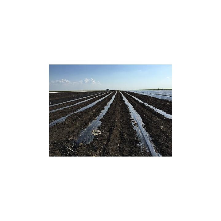 Folie mulch neagra 80cm/3000m