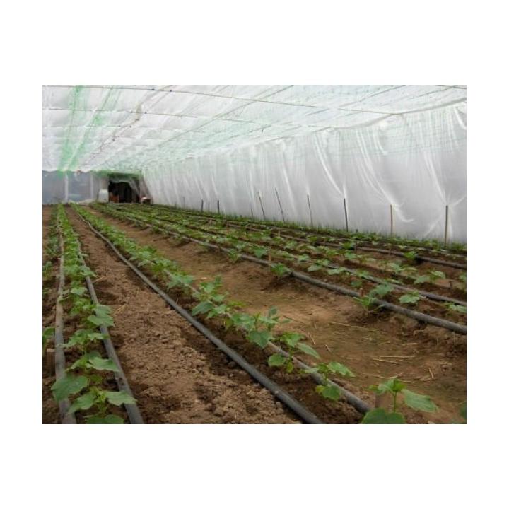 Folie de polietilena