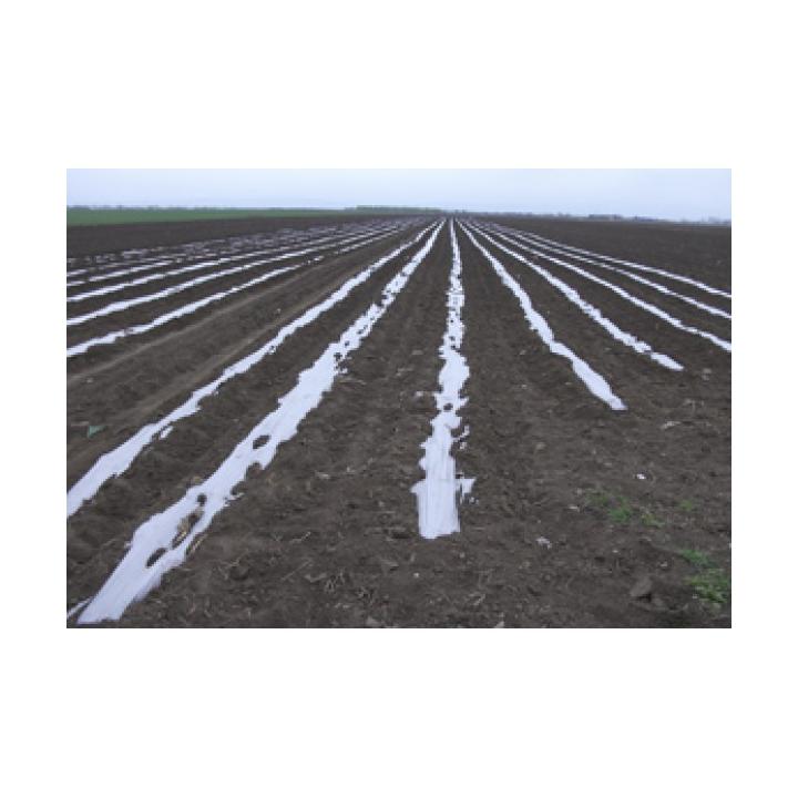 Folie mulcire transparenta