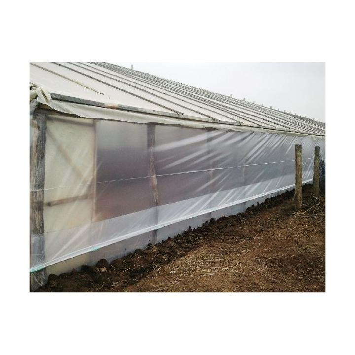 Folie profesionala Glia