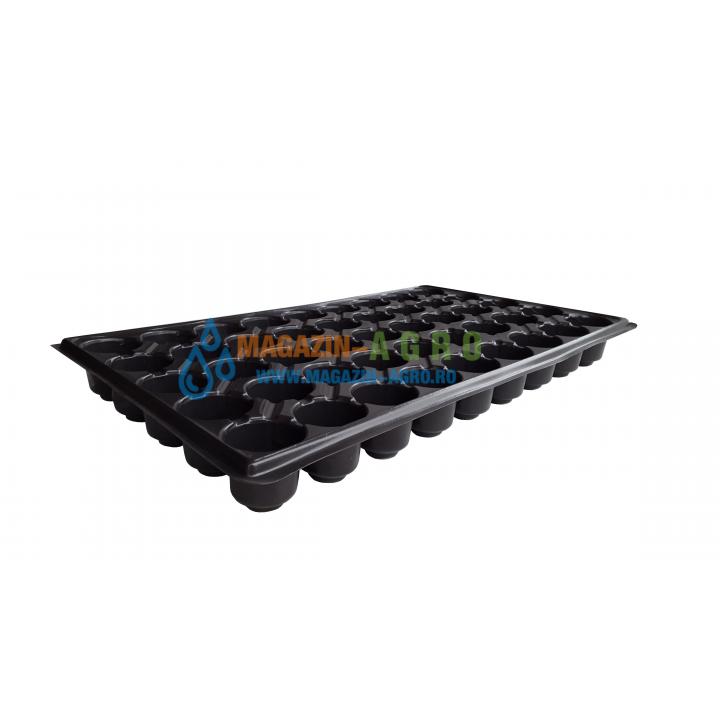 Tavite alveole 45