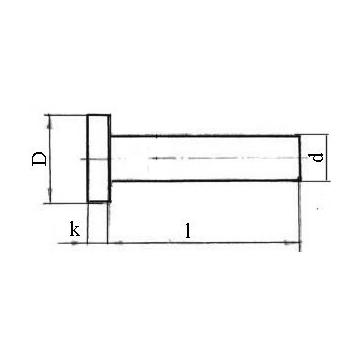 Nituri cu cap cilindric plat/ 6x20