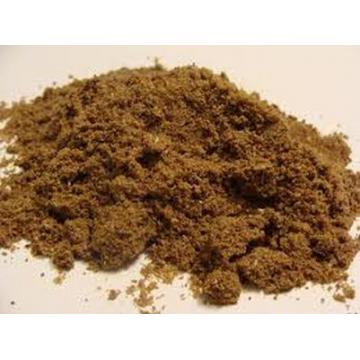 Faina de peste Mauritania