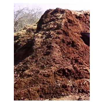 Mranita - Ingrasamant organic