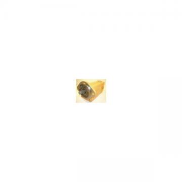 Pompa hidraulica sapatoare Case 40090DB