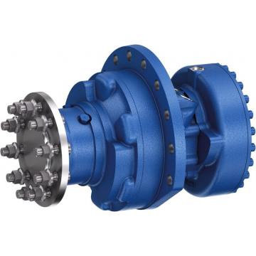 Hidromotor MCR 10