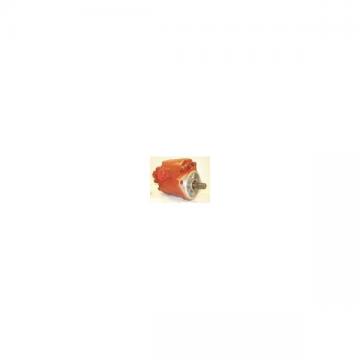 Pompa hidraulica stivuitor Hyster 24385RAP