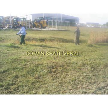 Servicii intretinere spatii verzi, parcuri, gradini
