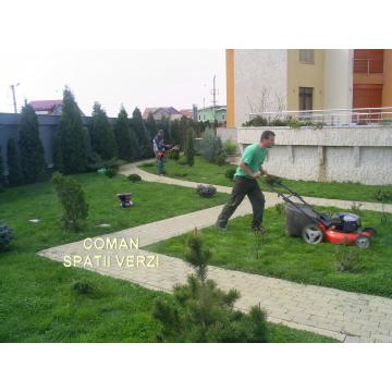 Servicii de intretinere gradini Timisoara