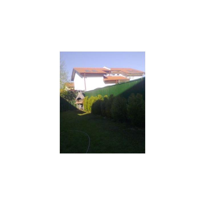 Plantare material dendrologic