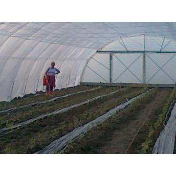 Solar legume/ flori 8 x 30 m la cheie