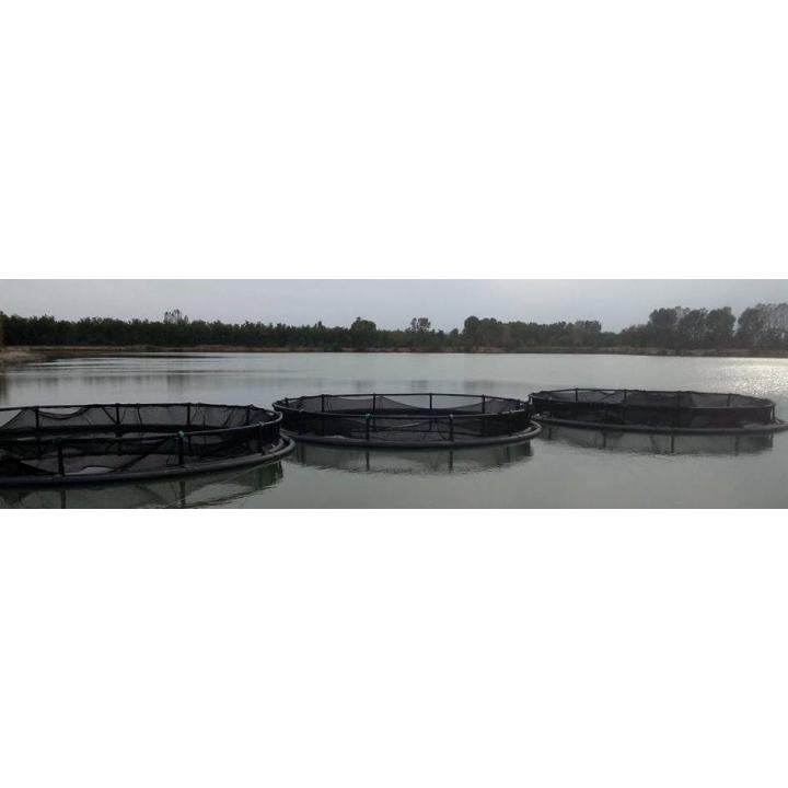 Ferma piscicola in sistem viviere