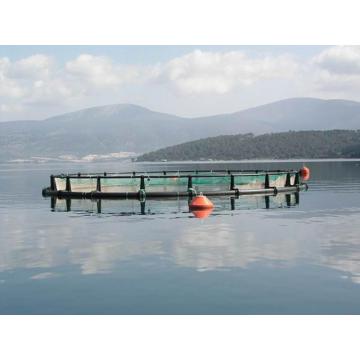 Viviere flotabile Weld