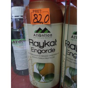 Stimulator de crestere Raykat Engorde