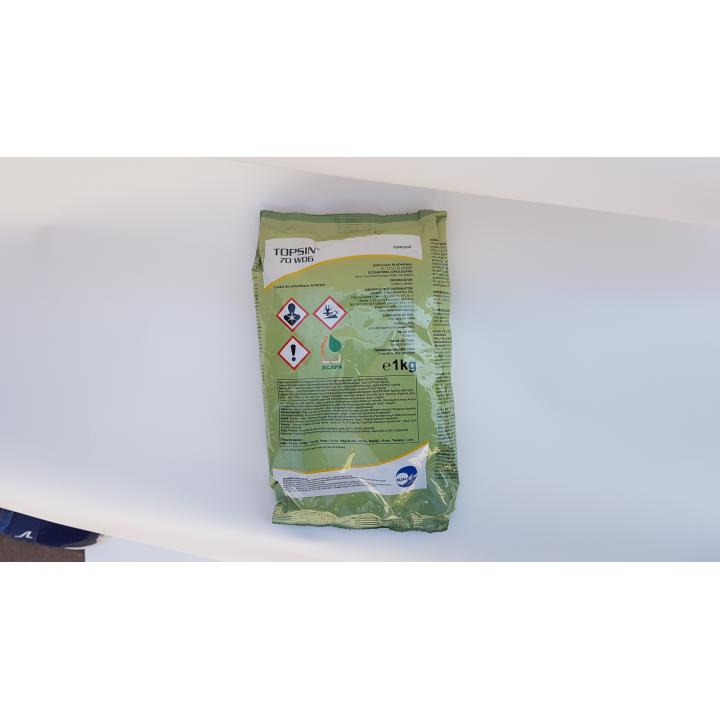 Fungicid Topsin 80WDG