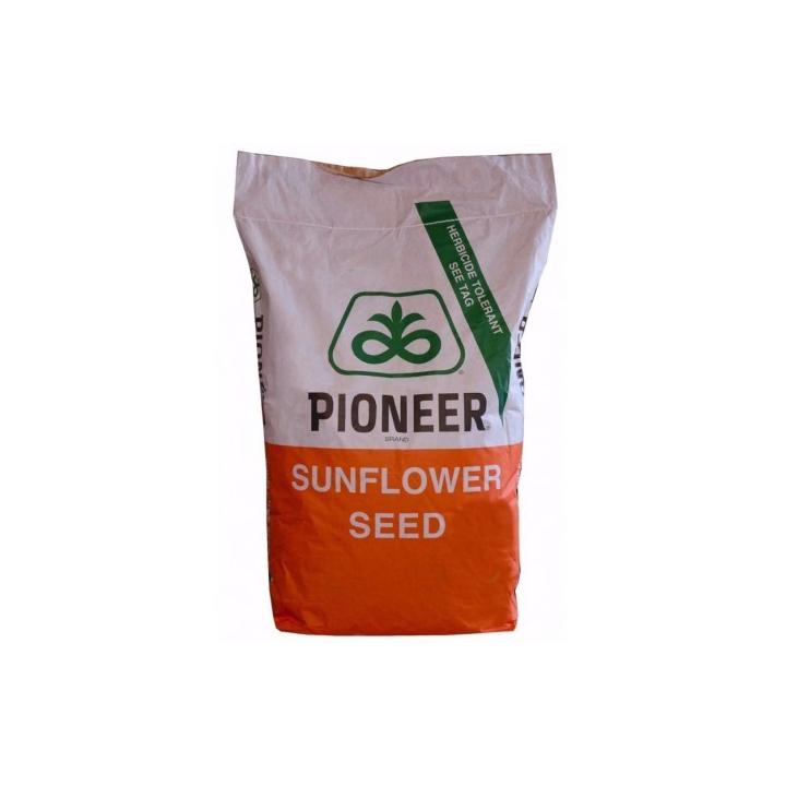Samanta floarea soarelui Pioneer P64LE99