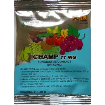 Fungicid Champ 77 WG