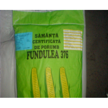 Samanta porumb Fundulea 376 certificata