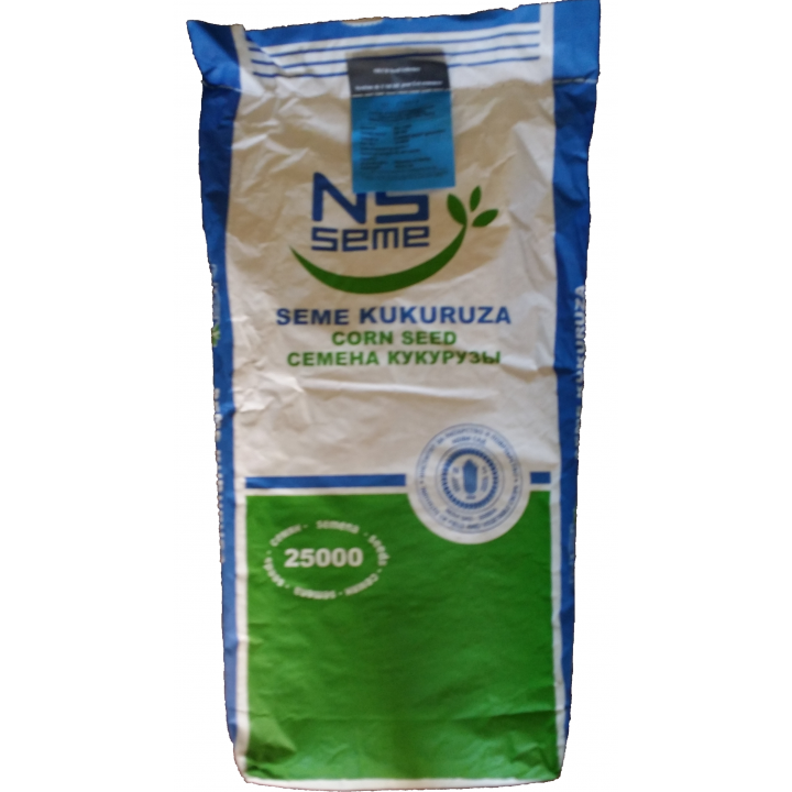 Seminte porumb NS 444, FAO 450