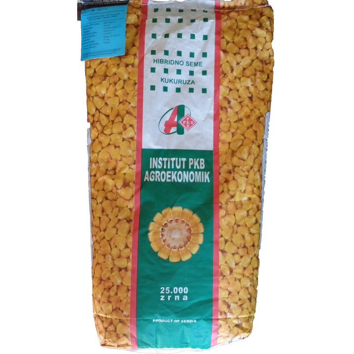 Porumb boabe Stanisa