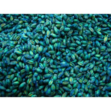 Raticid Rodenticide Prokum - G