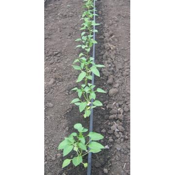 Banda pentru irigare prin picurare DG, 30 cm