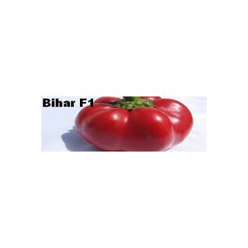 Seminte de ardei Bihar F1