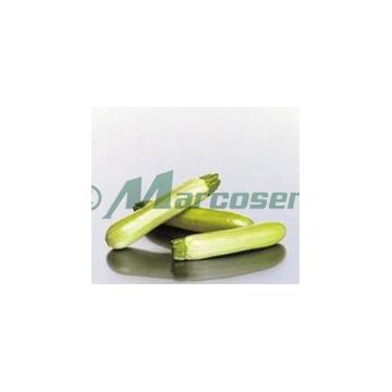 Seminte de dovlecei Opal F1