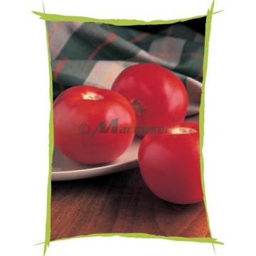 Seminte de tomate Bobcat F1