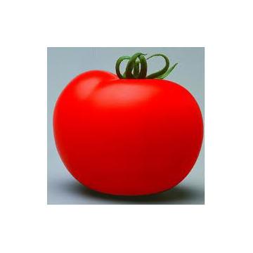 Seminte de tomate nedeterminate Cristal F1 - 5 g