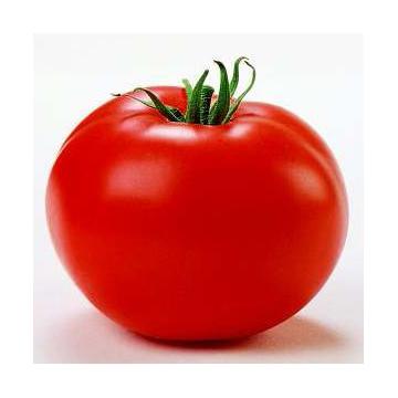 Seminte de tomate nedeterminate Tamaris f1 - 1000 seminte