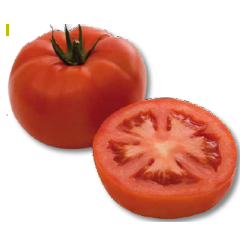Seminte de tomate semideterminate Minaret F1 - 500 seminte