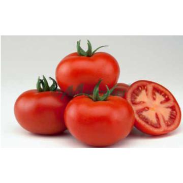 Seminte de tomate Valday F1