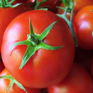 Seminte de tomate Sandoline F1