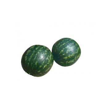 Seminte pepene verde Top Gun F1 - 1000 seminte