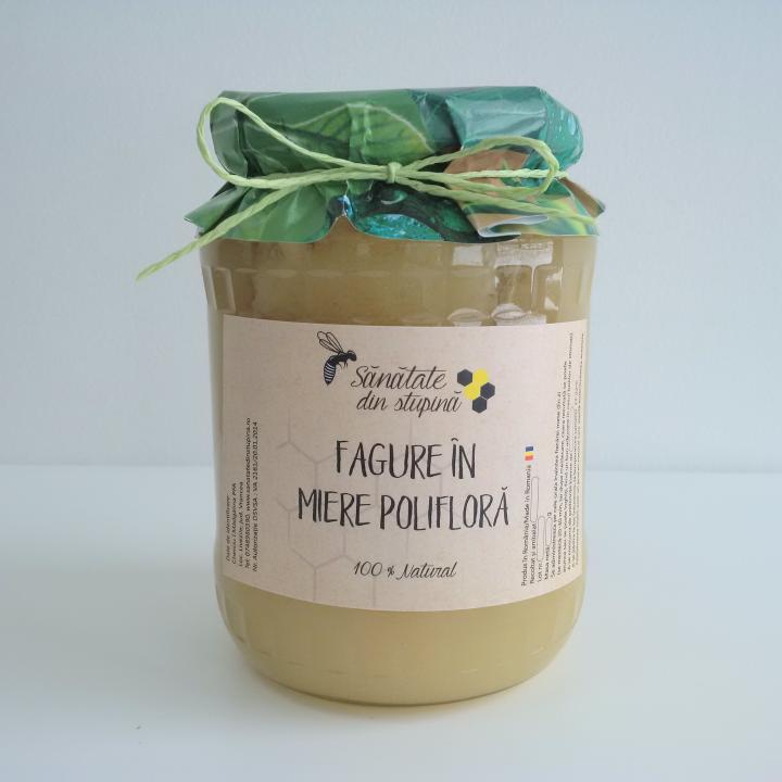 Fagure in miere poliglora 960 gr, forma cristalizata