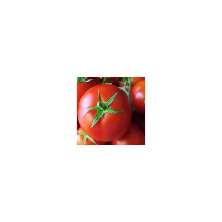 Seminte de tomate Sandoline (500 sem)