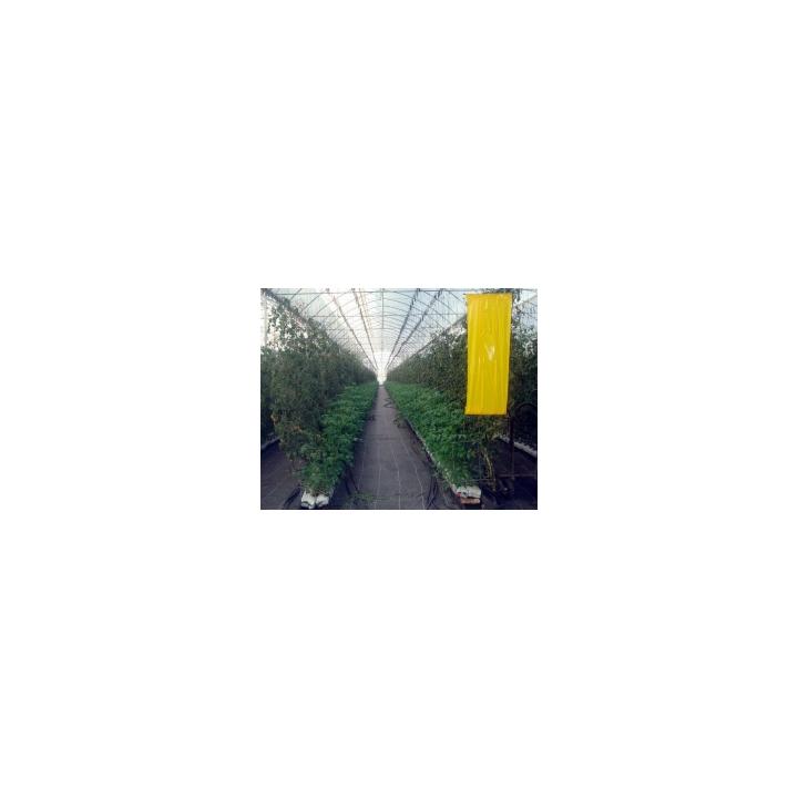 Folie Agrotextil antiburuieni 1,60 m latime (sul 100 ml)
