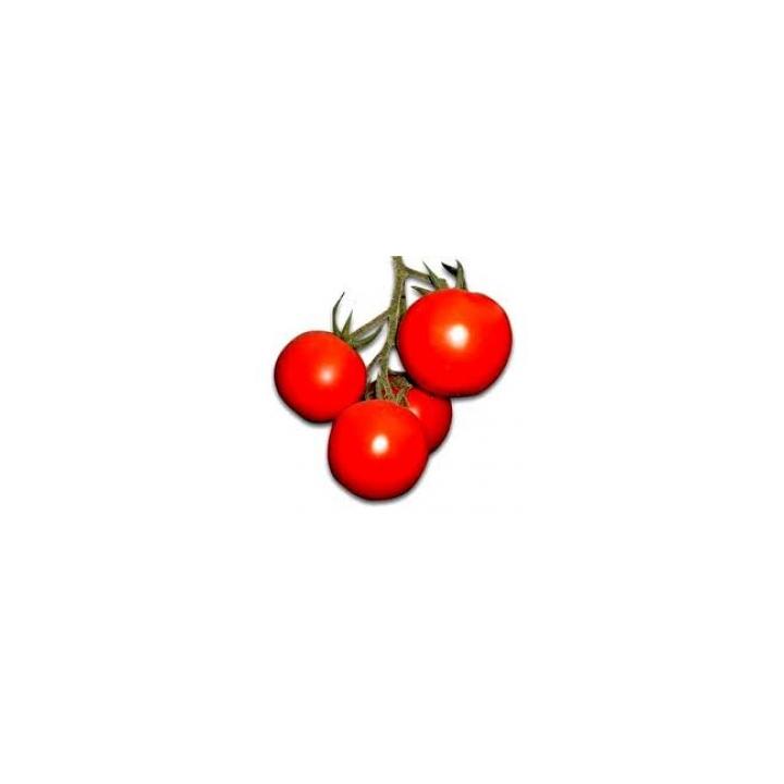 Seminte de tomate Brillante F1, 500 sem