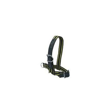 Capestre vaci 30300