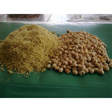 Servicii de extrudare soia full fat
