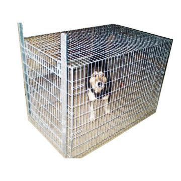 Capcana pentru caini (pliabila)