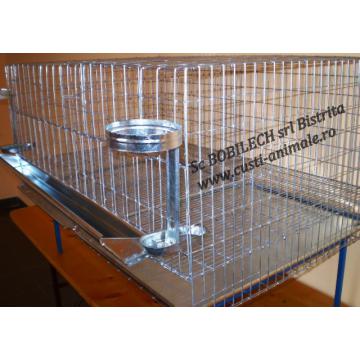 Cusca 20 gaini ouatoare 1 nivel / 200 cm