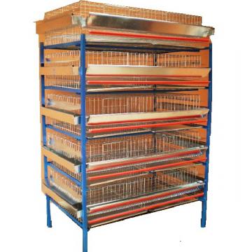 Cusca de prepelite pentru 250 de bucati 5 nivele Modil